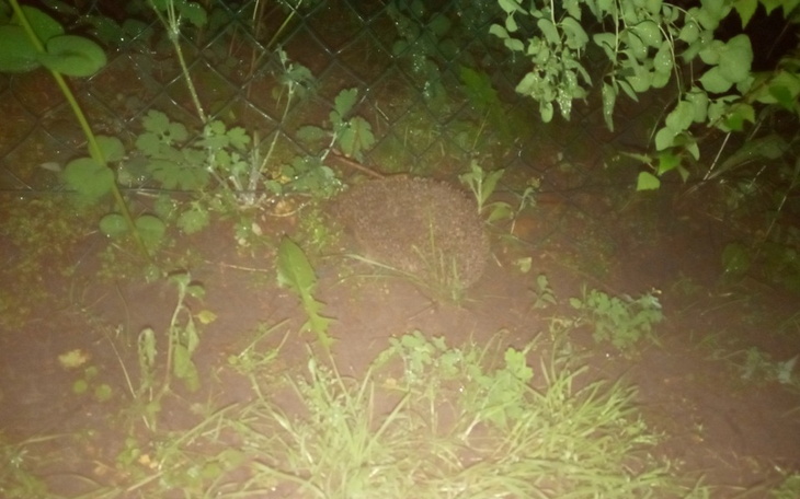 Zbiórka Daj - zdjęcie główne