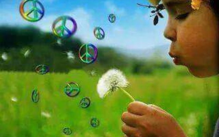 Zbiórka Wakacje dla syna - zdjęcie główne