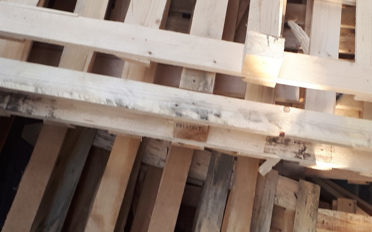 Zbiórka Wsparcie ubogich rodzin - zdjęcie główne