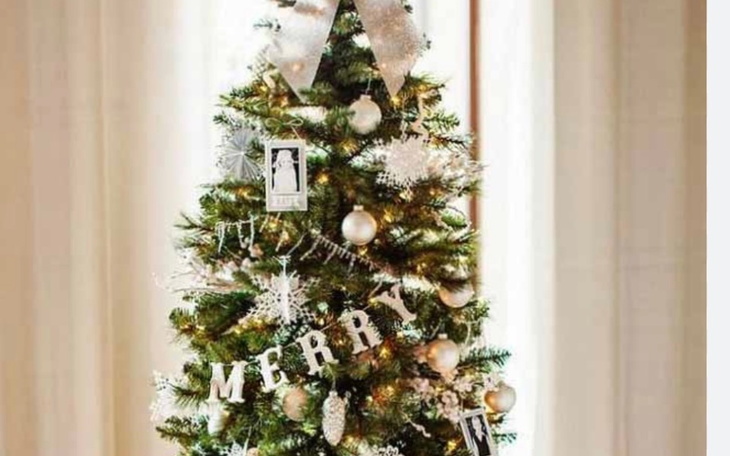 Zbiórka Choinki dla DPS Zbrosławice - zdjęcie główne