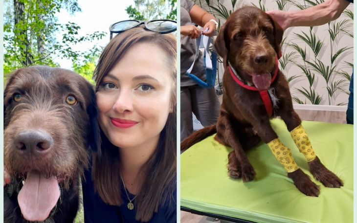 Zbiórka Kokos- od paraliżu do sprawności - zdjęcie główne