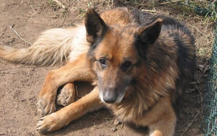 Zbiórka Nadzieja umiera ostatnia -walczy - zdjęcie główne