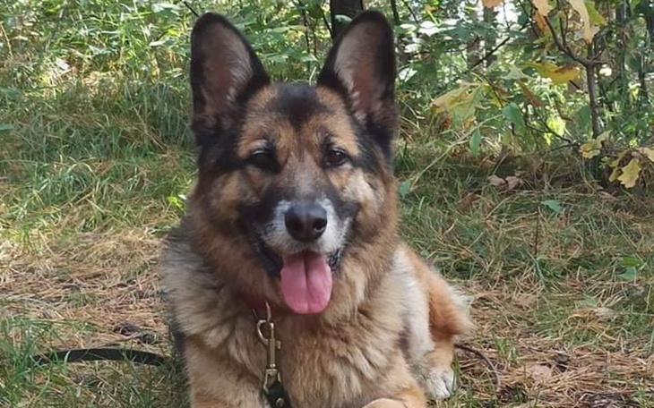 Zbiórka Pomoc w leczeniu Dziadka - zdjęcie główne