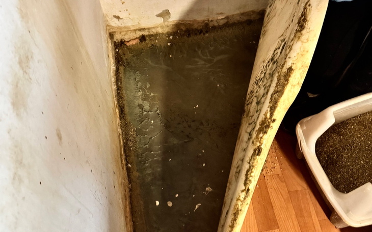 Zniszczona ściana z pleśnią, widok na podłogę.