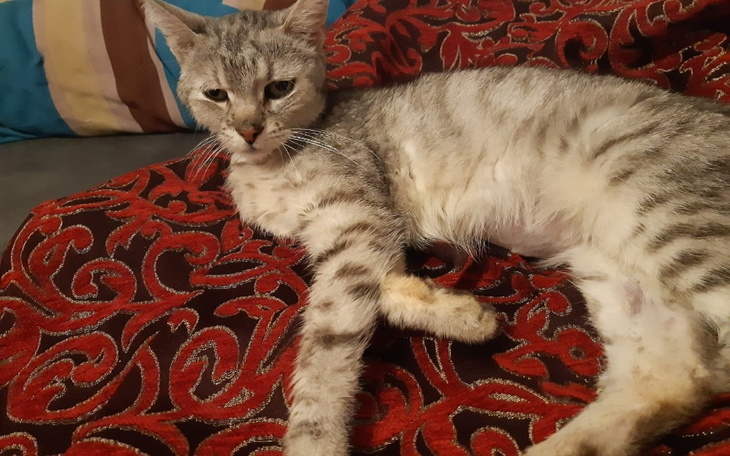 Zbiórka Na leczenie Maszy - zdjęcie główne