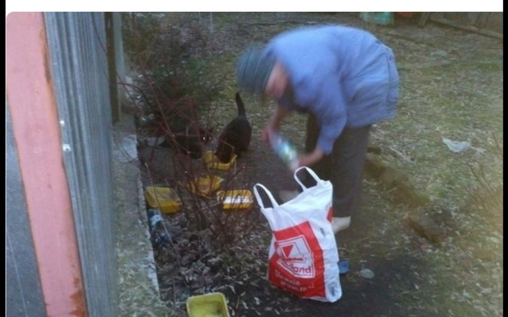 Zbiórka Kotki pani Basi - zdjęcie główne