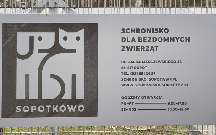 Zbiórka Zabezpieczamy bezdomne zwierzaki - zdjęcie główne