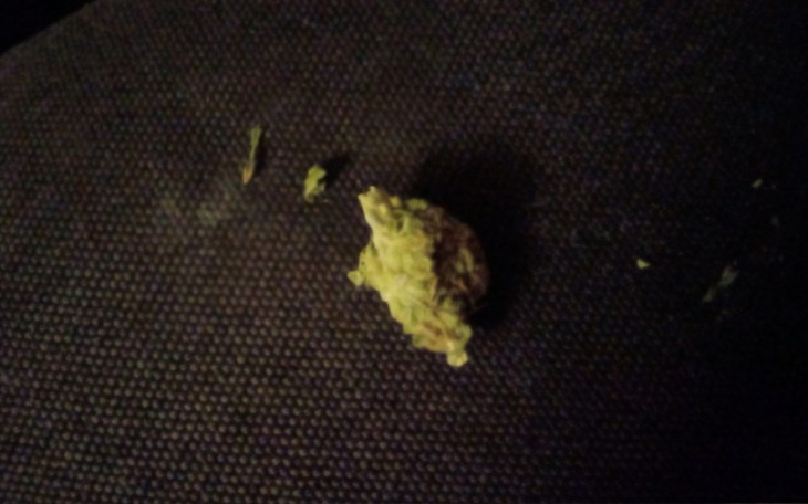 Zbiórka Rower kozak - zdjęcie główne