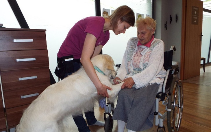 Zbiórka Opieka w Dziennym Domu Seniora - zdjęcie główne