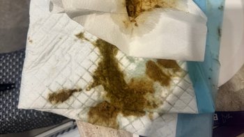 Zbiórka PANLEUKOPENIA - kolejna walka - miniaturka zdjęcia