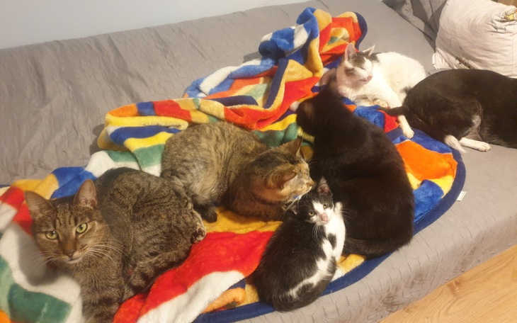 Zbiórka Im los odebrał wszystko - zdjęcie główne