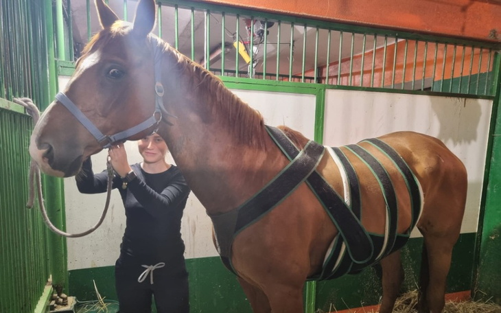 Zbiórka Leczenie Bohuna - zdjęcie główne