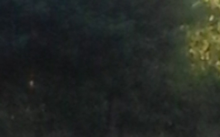 Zbiórka Rower. - zdjęcie główne