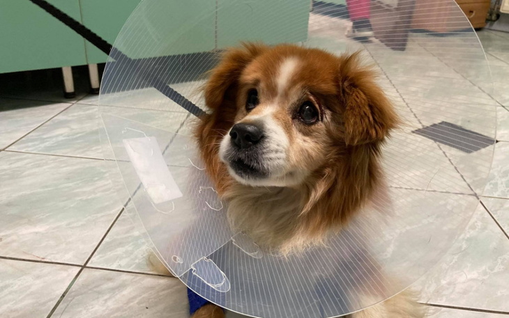 Zbiórka Uratujmy Jasia - zdjęcie główne