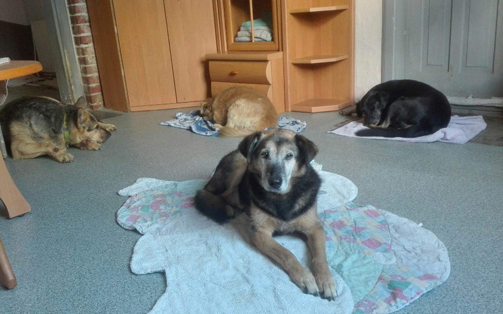 Zbiórka Jamor dla Zenka - zdjęcie główne