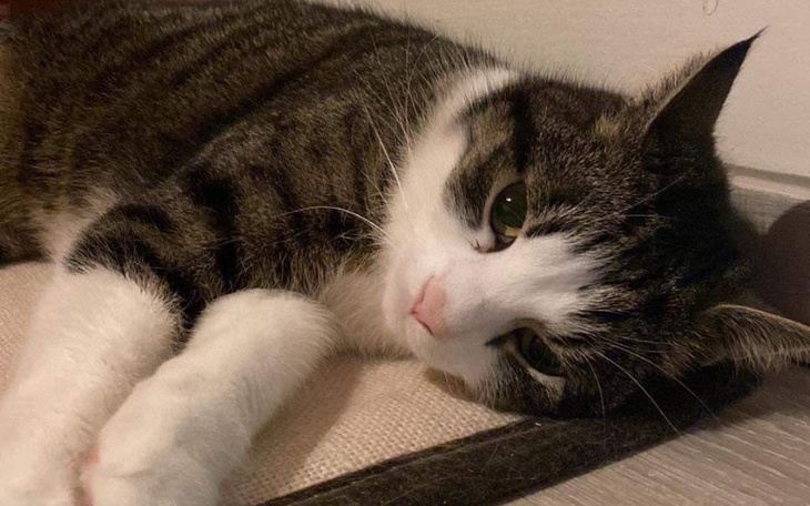 Zbiórka Leczenie Witka - zdjęcie główne