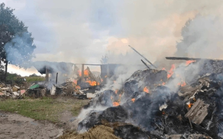 Zbiórka Dobro wracaPomóżmyWiesiowi - zdjęcie główne