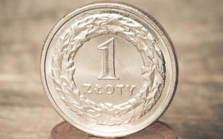 Zbiórka Eksperyment wart 1zł - zdjęcie główne