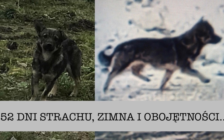 Zbiórka 52 Dni STRACHU I Obojętności - zdjęcie główne