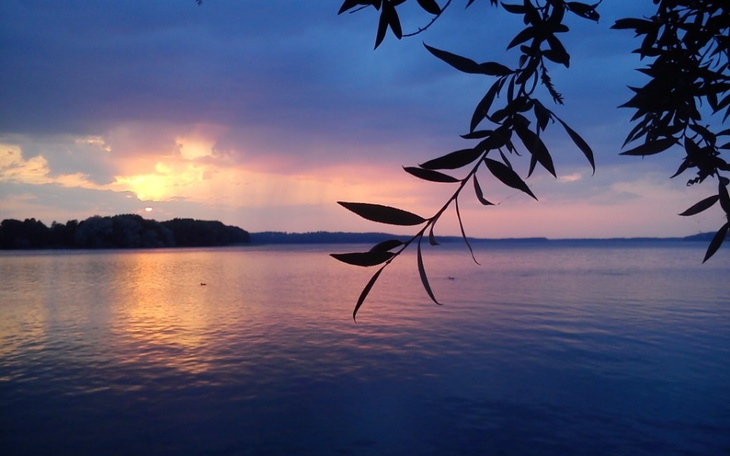 Zbiórka Dług zbiera żniwa - zdjęcie główne