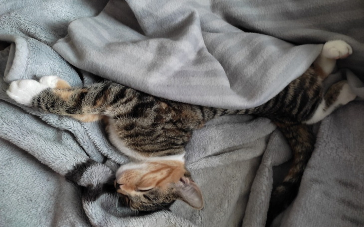 Zbiórka Moje wszystko - zdjęcie główne