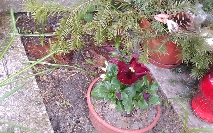 Zbiórka Na grub siostry - zdjęcie główne