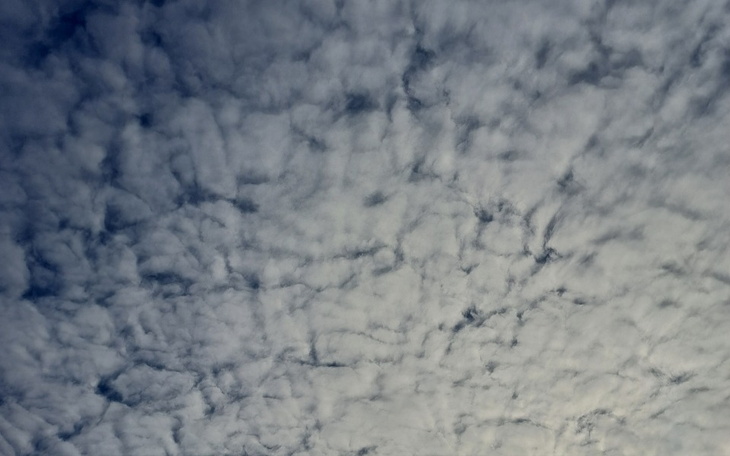 Zbiórka Na nasz początek - zdjęcie główne