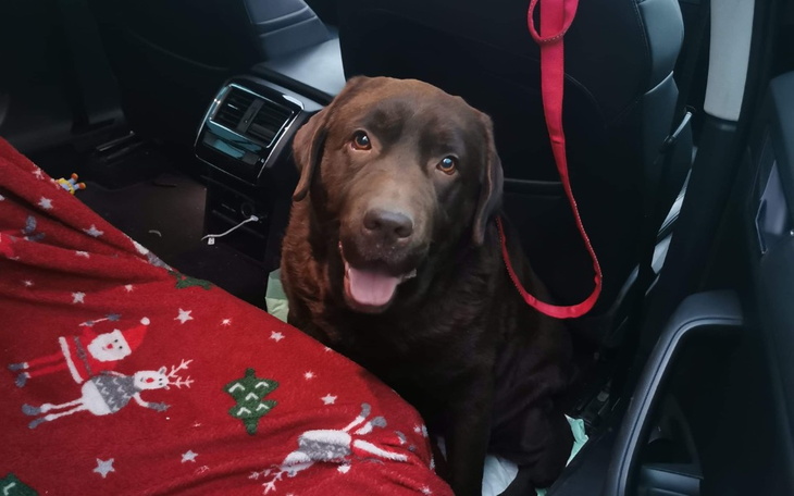 Zbiórka Ratujemy oczka Bigosa - zdjęcie główne