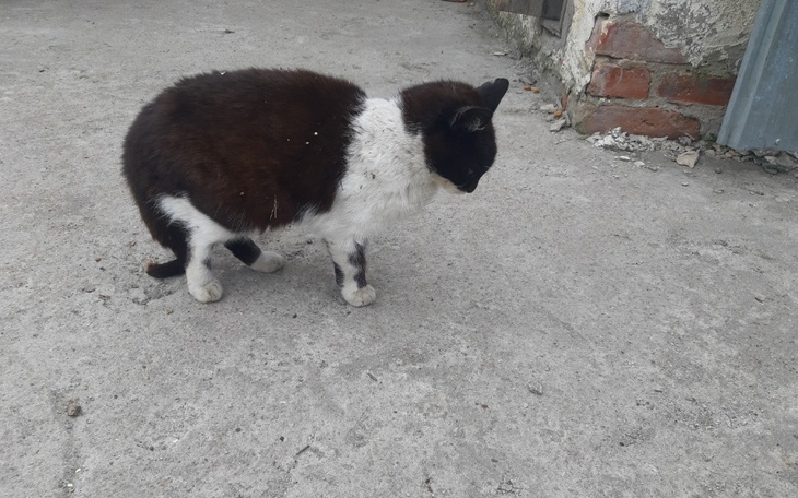 Zbiórka Pomóż wiejskiej biedzie - zdjęcie główne