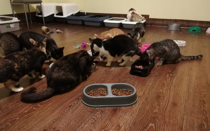 Zbiórka Nie ma się już dokąd udać. - zdjęcie główne