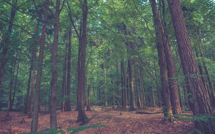 Zbiórka Pasja fotograficzna. - zdjęcie główne