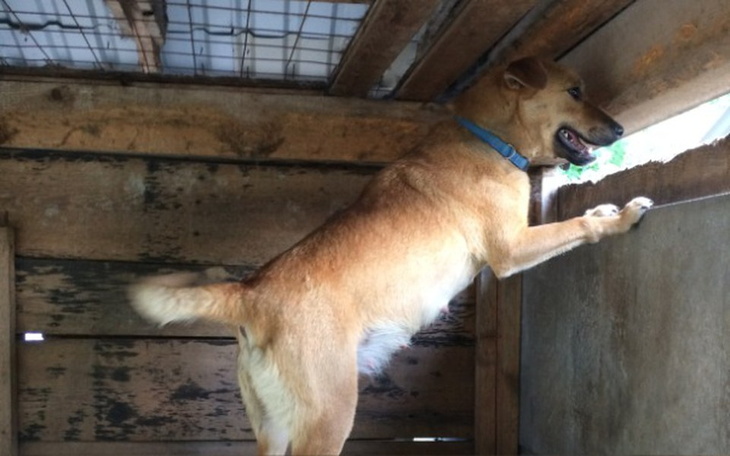 Zbiórka Ile jeszcze zdołamy uratować? - zdjęcie główne