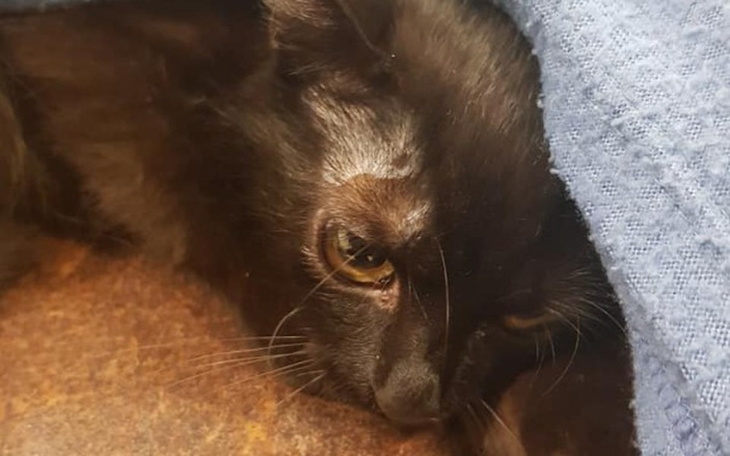 Zbiórka Umierała zamknięta w garażu - zdjęcie główne