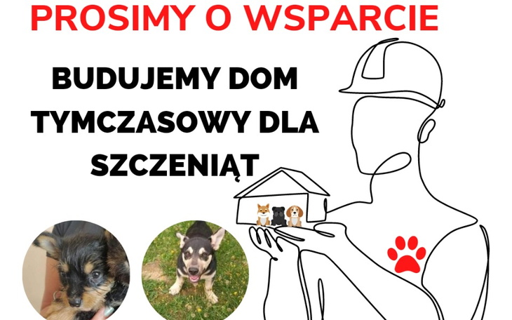 Zbiórka Budujemy dom tymczasowy dla psów - zdjęcie główne