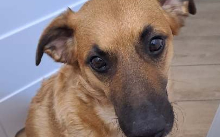 Zbiórka Pomoc przy chorobie Spajkiego - zdjęcie główne