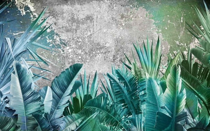 Zbiórka CASHh - zdjęcie główne