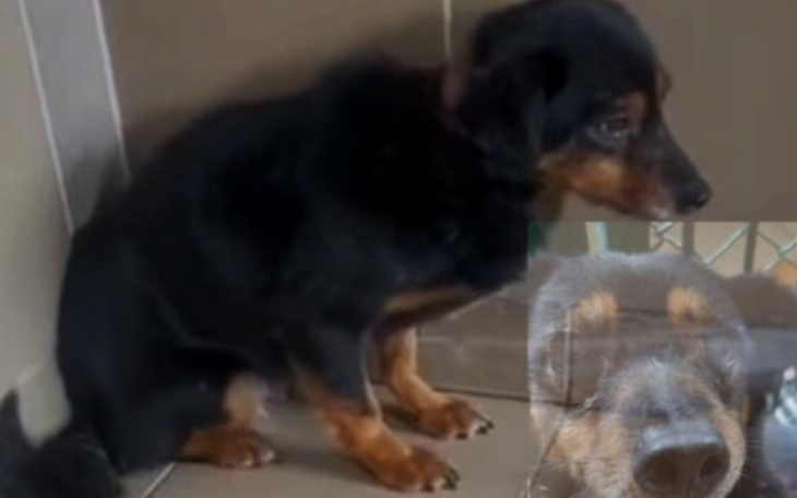 Zbiórka Bezpieczna i Zapomniana pomozcie - zdjęcie główne