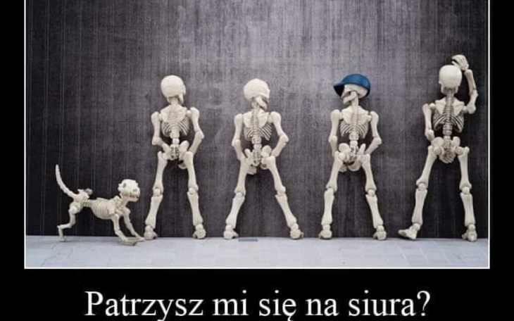 Zbiórka Dla Janka na lekarza - zdjęcie główne