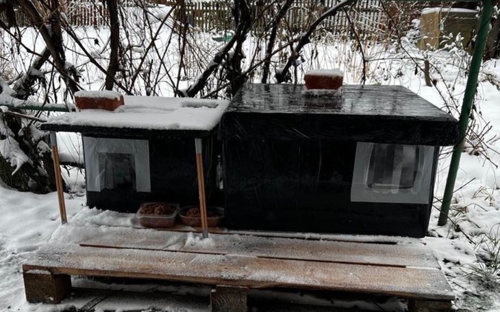 Zimowy widok na schronienie dla zwierząt, pokryte śniegiem.