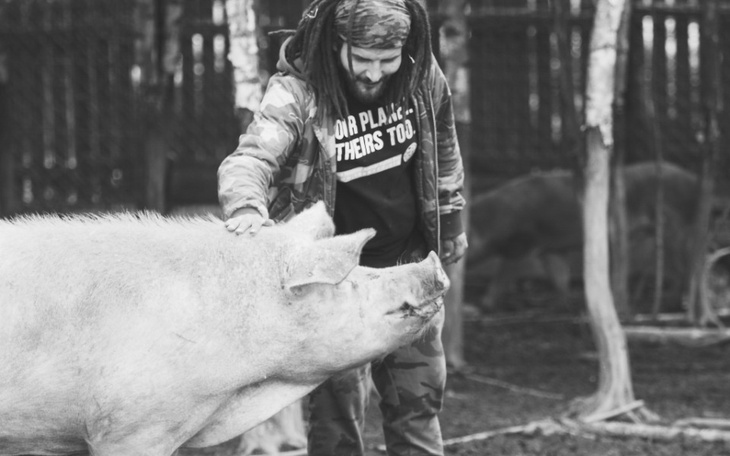 Mężczyzna głaszcze świnię w gospodarstwie.