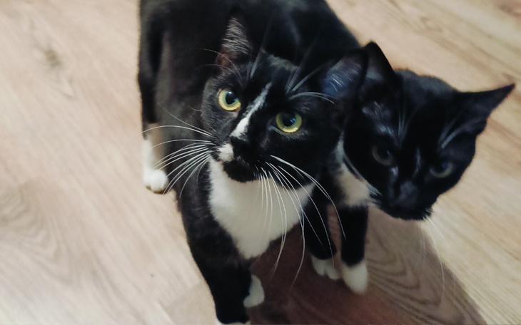 Zbiórka Wesprzyj Jacusia - zdjęcie główne