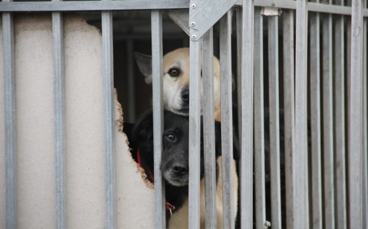 Zbiórka Żeby zima ich nie zabiła - zdjęcie główne