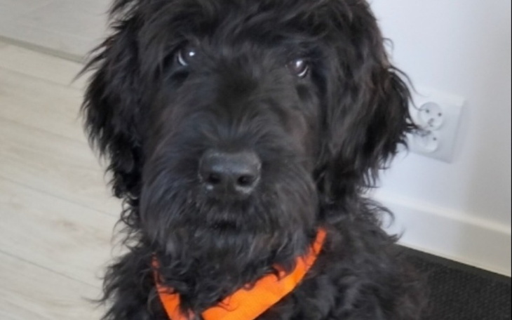 Zbiórka Na operację Dumy - zdjęcie główne