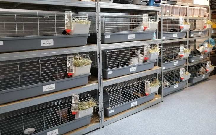 Klatki dla królików w schronisku, z przygotowanym jedzeniem.