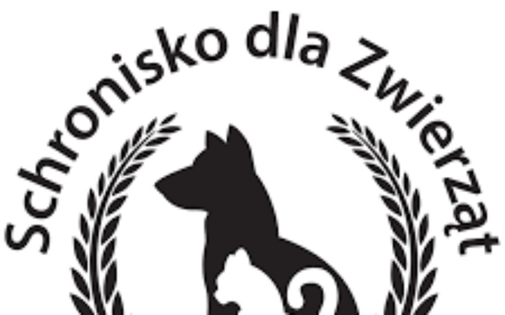 Zbiórka Na schronisko dla psów i kotów12 - zdjęcie główne