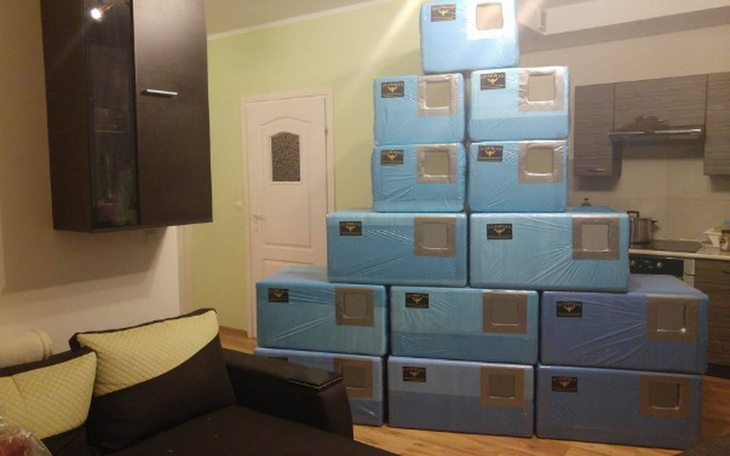 Zbiórka Podaruj mi domek - zdjęcie główne