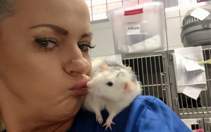 Zbiórka Zbiórka urodzinowa dt Ogoniaste - zdjęcie główne