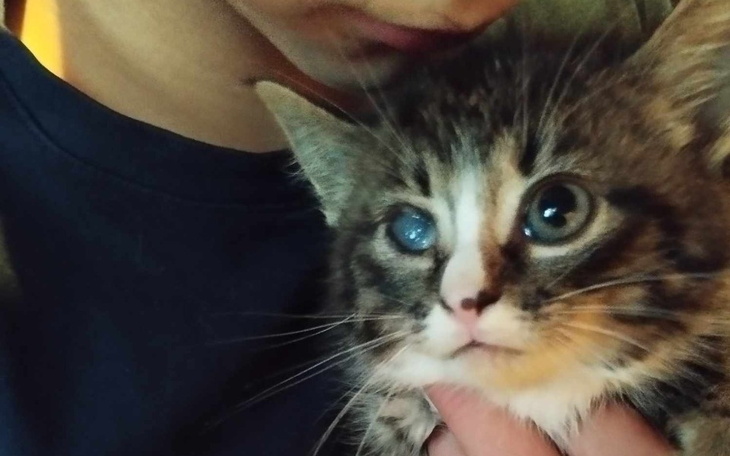 Zbiórka Na ratunek Laleczce - zdjęcie główne