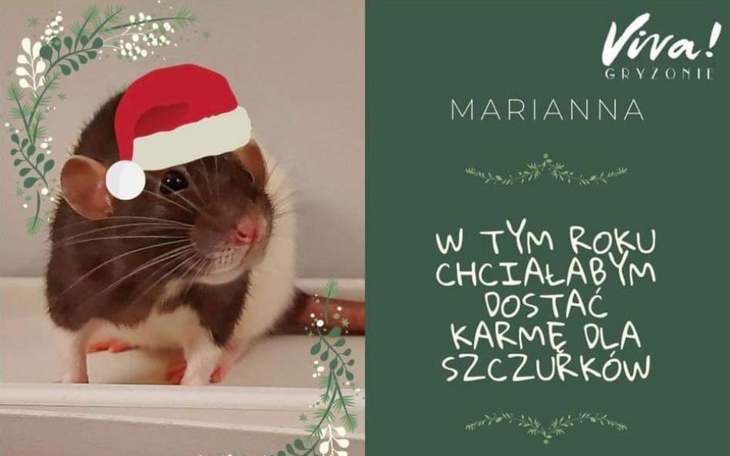 Zbiórka Gryzołaj potrzebuje pomocy - zdjęcie główne