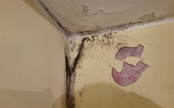 Zbiórka Spokój i godne warunki - zdjęcie główne